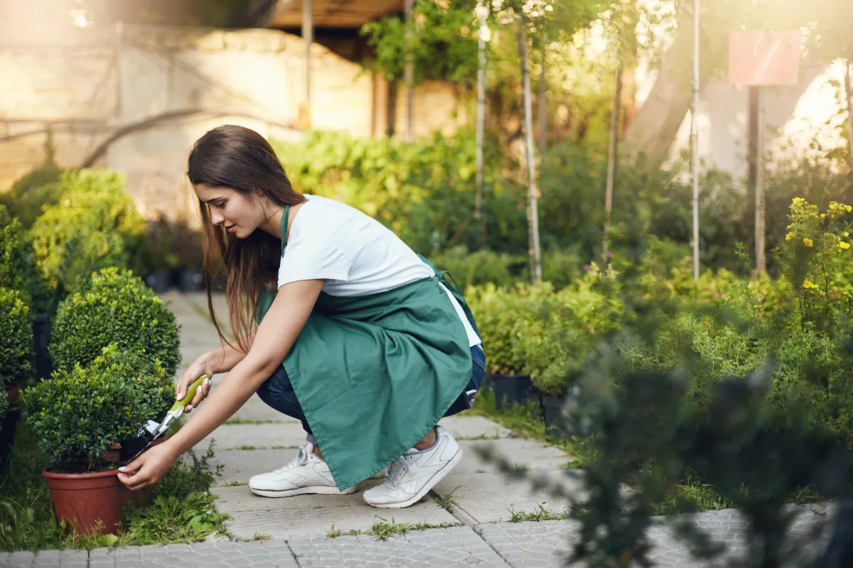 Gardener tending plants at a nursery