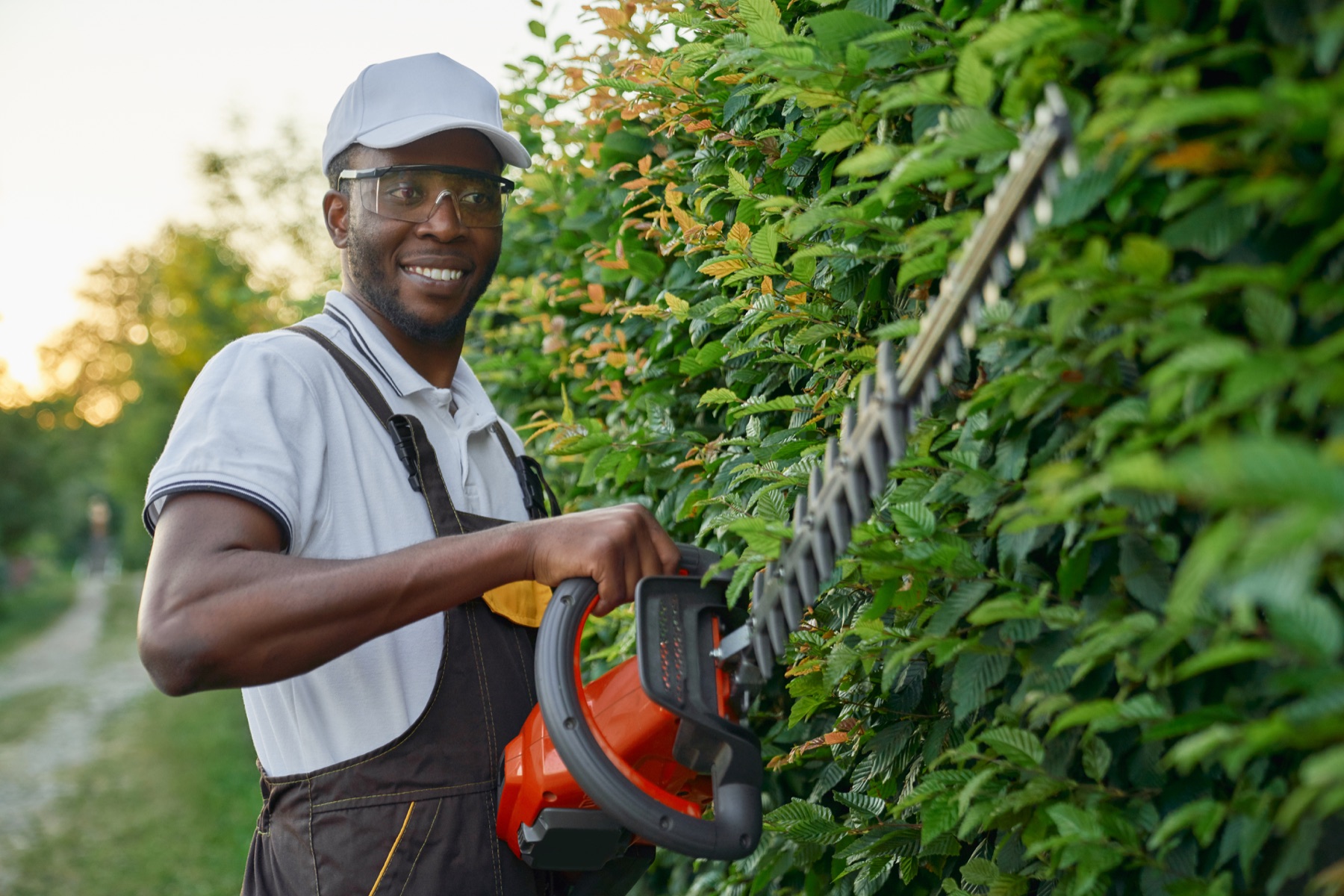 Landscape professional trimming a green hedge