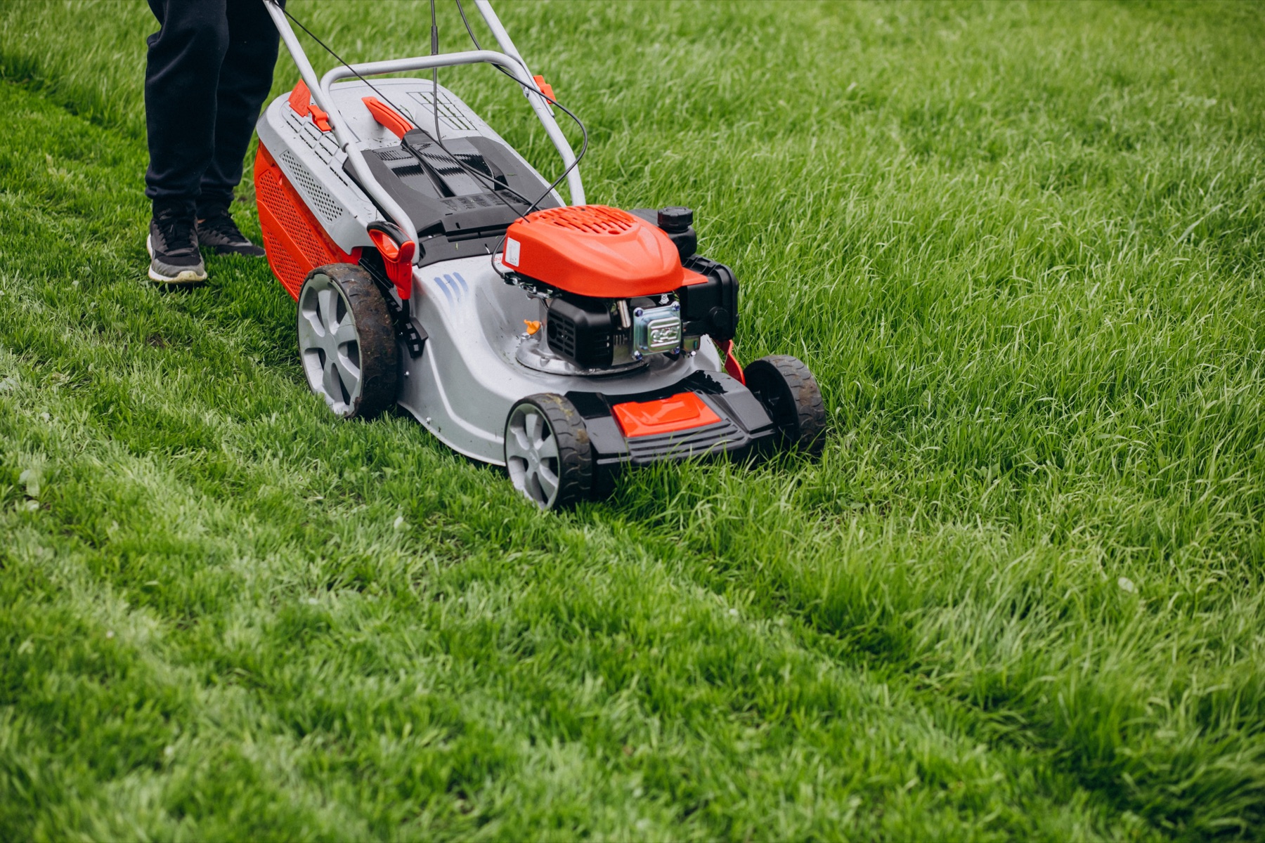 Lawn mower cutting healthy green grass
